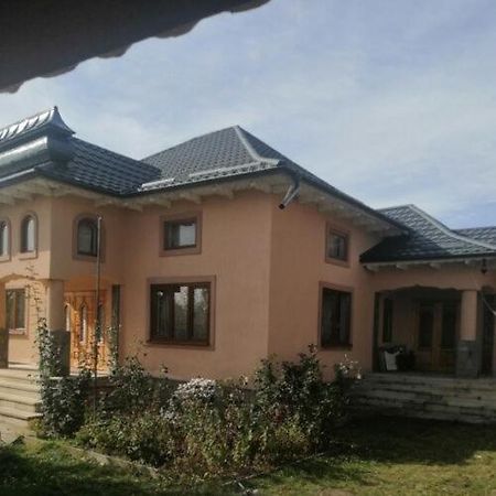 Casa Ilea -Agapia Villa Exteriör bild